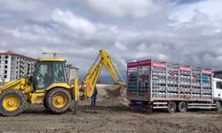 Çamura saplanan tüp yüklü kamyon kepçeyle kurtarıldı