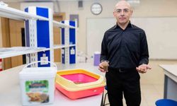 Ceviz kabuğundan kedi kumu üretti