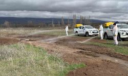 Çorum Belediyesi'nden yaz öncesi vektörle mücadele