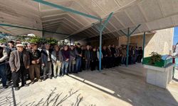 Datçalı Dünya şampiyonu sporcu Ali Bahçetepe vefat etti