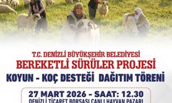 Denizli Büyükşehir 582 üreticiye 1200 adet koyun ve koç dağıtacak