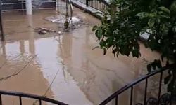 Didim'de sağanak yağış etkili oldu