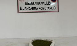 Diyarbakır'da 23 kilo esrar ele geçirildi