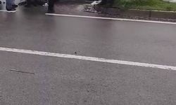 Diyarbakır'da trafik kazası: Araç refüje çarparak durabildi