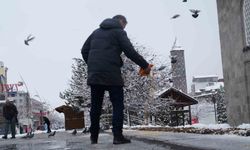 Doğu'da kar yağışı devam ediyor