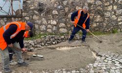 Düzce'nin 63 mahallesinde çalışma yürütülüyor