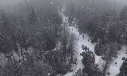 Düzce'nin yüksek kesimlerinde kar kalınlığı 1 metreyi buldu