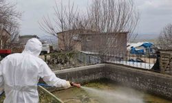 Elazığ'da larva ilaçlama çalışmaları başladı