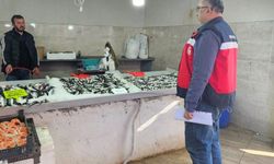 Emet'te balıkçılara yönelik denetim yapıldı