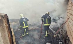 Erçiş'te ahır ve odunluk yangını