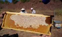 Erzincan Geven Balı coğrafi işaret tescili aldı