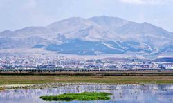 Erzurum ve Bakü petrol hattında 1921'de kritik duraklama