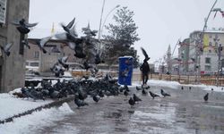 Erzurum'a kar geri geliyor