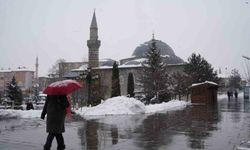 Erzurum'da kar yağışı etkili oluyor