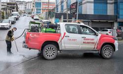 Esenyurt Belediyesi'nden haşere ve böceklere karşı yoğun mücadele