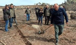 Eskişehir'de yangın sonrası ağaçlandırma çalışmaları başladı