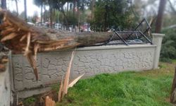 Fırtına Tavas'ta hayatı felç etti