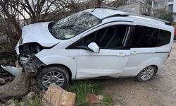 Freni boşalan hafif ticari araç ağaca çarptı: 1 yaralı