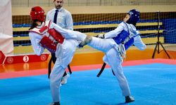 Genç tekvandocular Bilecik'te madalya için mücadele ediyor