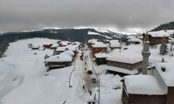 Giresun yaylalarında görsel şölen