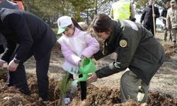 Gümüşhane'de fidanlar toprakla buluştu