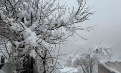 Hakkari'de 82 yerleşim yerinin yolu kapandı