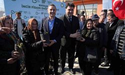 Havran'da 102 çiftçiye 2 bin 500 incir fidanı dağıtıldı