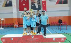 Hisarcık Şehitler Ortaokulu'nun badminton başarısı