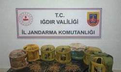 Iğdır'da kaçak keklik avcılarına 175 bin TL ceza