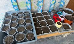 Iğdır'da Nevruz'un simgesi semeniler hazırlanmaya başlandı