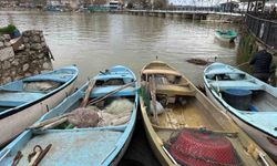 İstilacı İsrail sazanları balıkçılara gelir kaynağı oldu