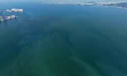 İzmir Körfezi'nde yine dış kaynaklı kirlilik alarmı