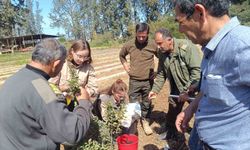 İzmir'in damla sakızı KKTC'de toprakla buluştu