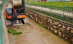 Kahta Belediyesi'nden yaz öncesi dere temizliği