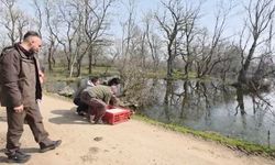 Karacabey Longozları'nda yaban hayatına özgürlük