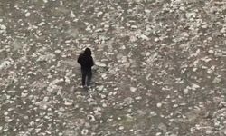 Kars'ta kaçak avcılığa dron destekli sıkı denetim