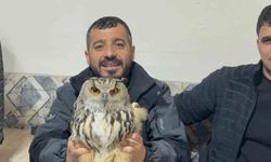 Kars'ta yaralı puhuya şefkat eli