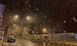 Kastamonu'da kar yağışı etkili oldu