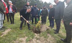Kazdağları'nda fidanlar toprakla buluştu