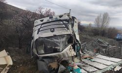 Kontrolden çıkan kamyonet devrildi: 1 yaralı