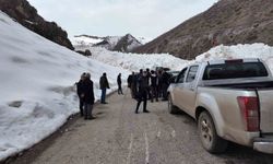 Köy yoluna çığ düştü, ekipler yolu açmak için çalışma başlattı