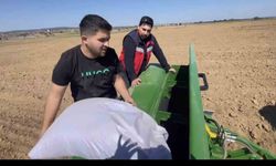 Kütahya'da çörek otu üretimi gelişiyor