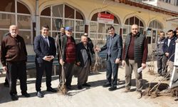Kütahya'da yerel kiraz türleri yeniden toprakla buluşuyor