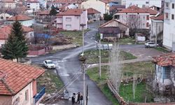 Mahallenin maskotu oldular, baharla birlikte yuvalarına döndüler