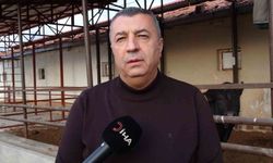 Malatya kırmızı et üretiminde Türkiye'nin lokomotif illerinden biri