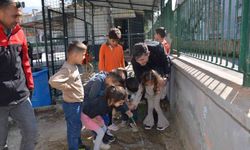 Manisa'da okul bahçeleri bağa dönüşüyor