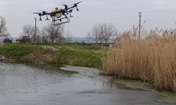 Manyas'ta sivrisinek ile mücadele seferberliği