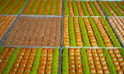 Muş'ta tatlıcıların yoğun bayram mesaisi