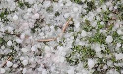 Niğde'de dolu yağışı etkili oldu