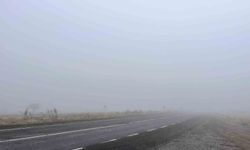 Niğde'nin yüksek kesimlerinde sis etkili oldu